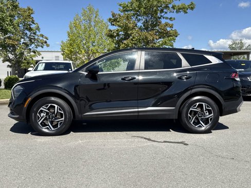 Used 2024 Kia Sportage LX image 2