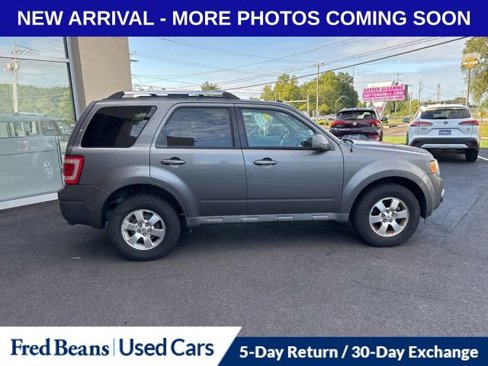 Used 2010 Ford Escape Limited image 4