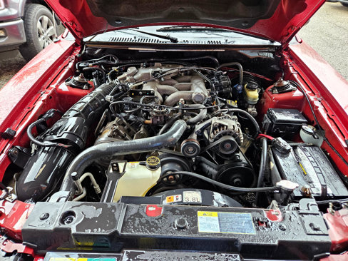 Used 2003 Ford Mustang Coupe image 9
