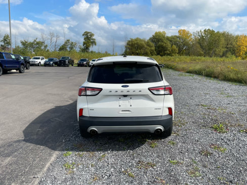 Used 2022 Ford Escape SE w/ Convenience Package image 6