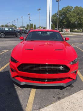 Used 2021 Ford Mustang Coupe w/ 2.3L High Performance Package image 2