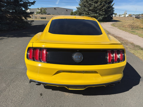 Used 2015 Ford Mustang GT Premium w/ 50 Years Appearance Package image 8