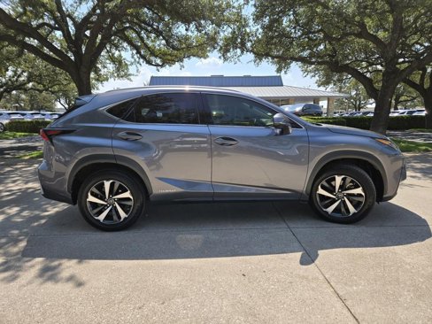 Used 2020 Lexus NX 300h AWD w/ Premium Package image 6