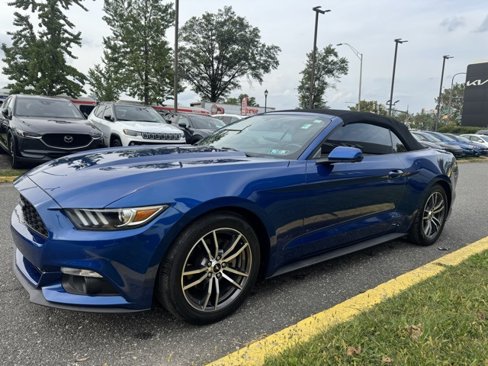 Used 2017 Ford Mustang Premium image 8