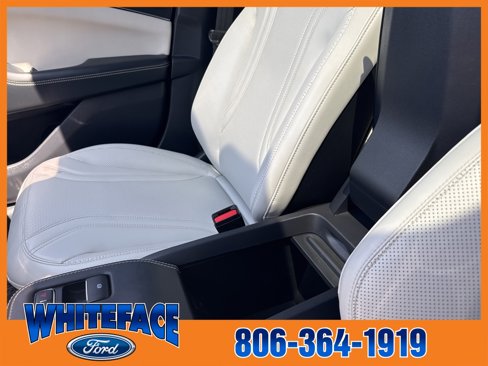 Used 2021 Ford Mustang Mach-E Premium image 51