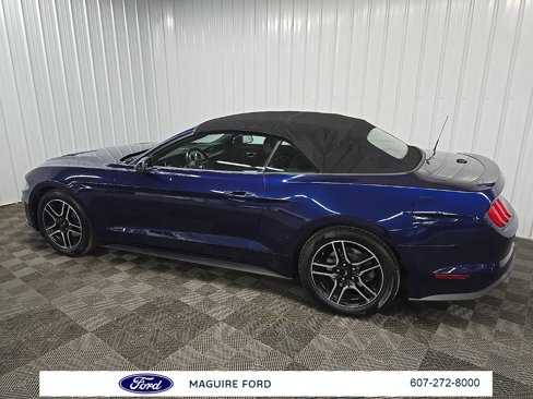 Used 2018 Ford Mustang Premium w/ Equipment Group 201A image 14