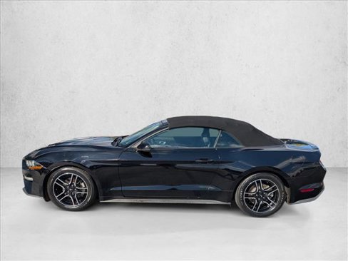 Used 2019 Ford Mustang Premium image 8