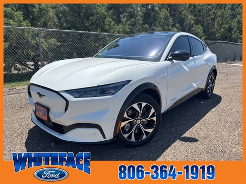 Used 2021 Ford Mustang Mach-E Premium image 1