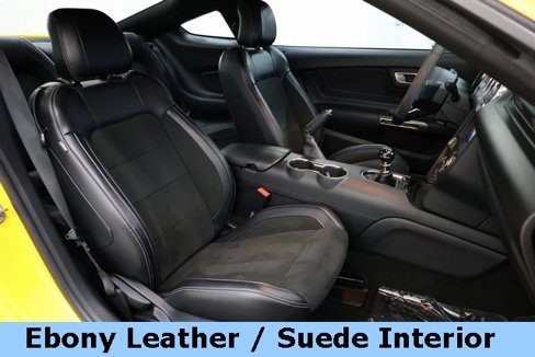 Used 2016 Ford Mustang Shelby GT350 w/ Technology Package image 15