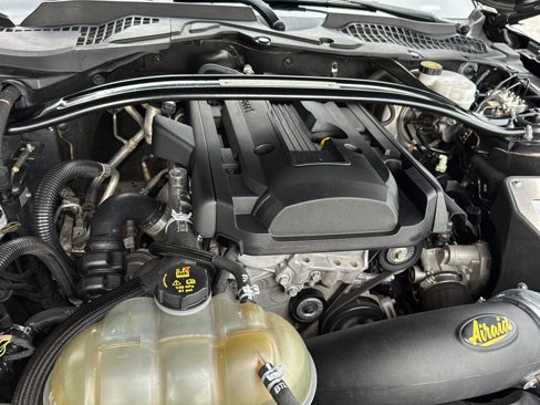 Used 2019 Ford Mustang Premium w/ Equipment Group 201A image 28