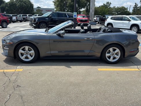 Used 2018 Ford Mustang Premium image 15