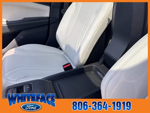 Used 2021 Ford Mustang Mach-E Premium image 50