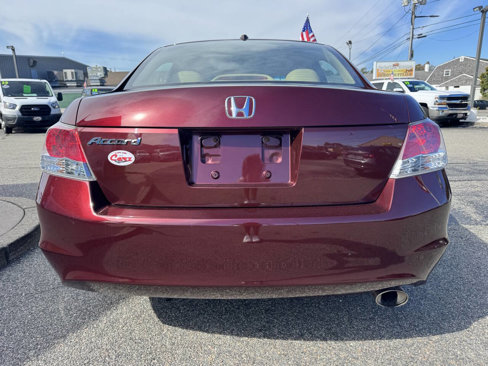 Used 2010 Honda Accord EX-L image 7