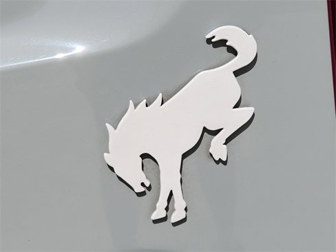 Used 2022 Ford Bronco Sport Big Bend w/ Convenience Package image 13