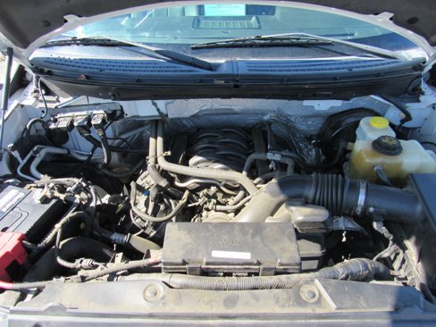 Used 2014 Ford F150 XL w/ Equipment Group 101A Mid image 10