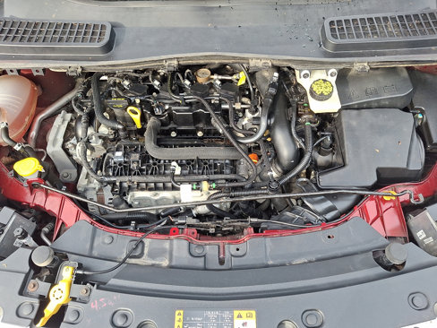 Used 2019 Ford Escape SEL image 30