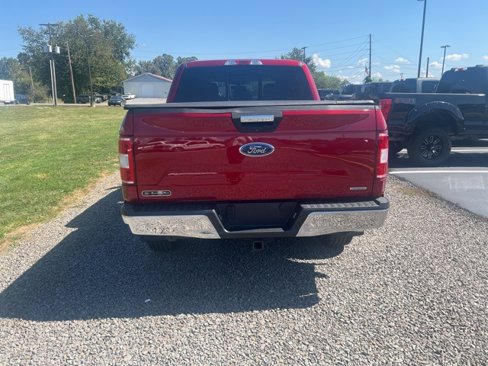 Used 2019 Ford F150 XLT w/ Equipment Group 302A Luxury image 5