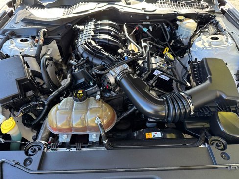 Used 2015 Ford Mustang Coupe w/ Equipment Group 051A image 8