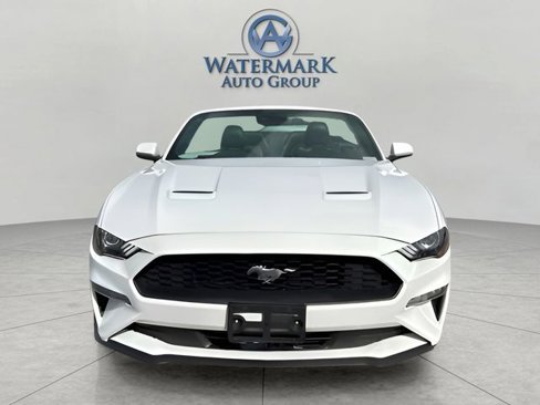 Used 2022 Ford Mustang Premium image 8
