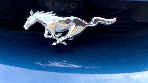 Used 1998 Ford Mustang Coupe image 40