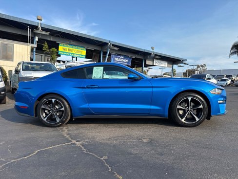Used 2019 Ford Mustang Coupe w/ Equipment Group 101A image 7