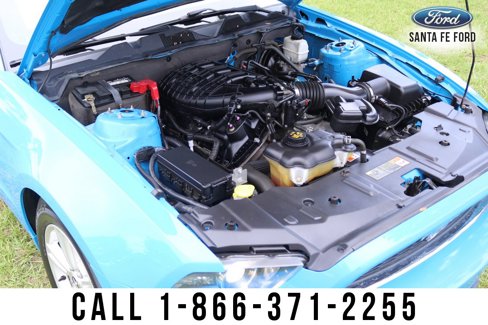 Used 2013 Ford Mustang Coupe image 13