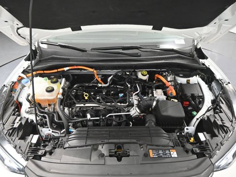 Used 2024 Ford Escape ST-Line w/ Equipment Group 301A image 16
