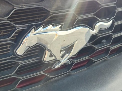 Used 2019 Ford Mustang Premium w/ Equipment Group 201A image 8