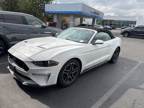 Used 2019 Ford Mustang Premium image 12