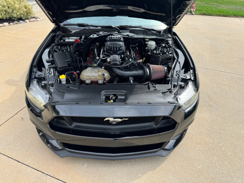 Used 2016 Ford Mustang GT w/ Interior & Wheel Package image 20