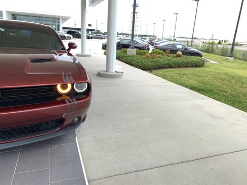 Used 2019 Dodge Challenger SXT w/ Blacktop Package image 4