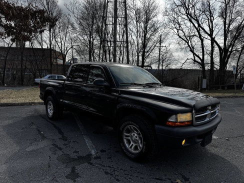 Used 2004 Dodge Dakota Sport w/ Deluxe Convenience Group image 4