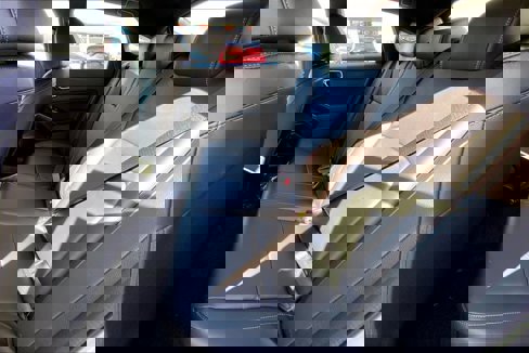 New 2025 Acura Integra A-Spec image 16