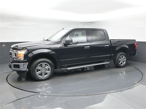Used 2019 Ford F150 XLT w/ Equipment Group 302A Luxury image 4