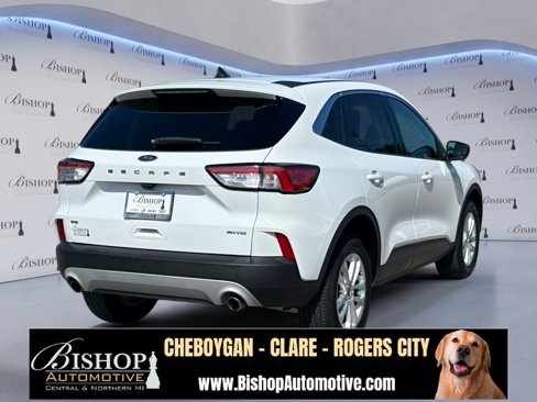 Used 2022 Ford Escape SE w/ Cold Weather Package image 15