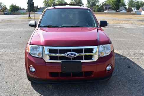 Used 2011 Ford Escape XLT w/ 202A Rapid Spec Order Code image 3