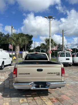 Used 2004 Dodge Dakota SLT image 5