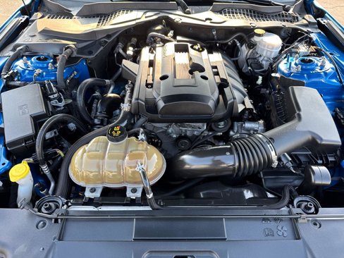 Used 2019 Ford Mustang Coupe w/ Equipment Group 101A image 8