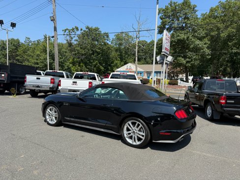 Used 2016 Ford Mustang Premium w/ Equipment Group 201A image 9