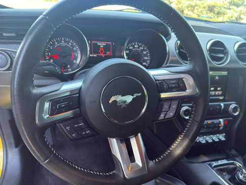 Used 2015 Ford Mustang GT Premium w/ 50 Years Appearance Package image 11