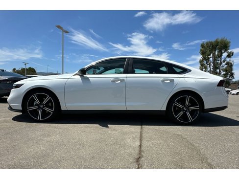 Used 2024 Honda Accord Sport image 2