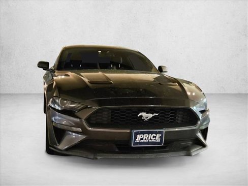 Used 2019 Ford Mustang Coupe w/ Equipment Group 101A image 3