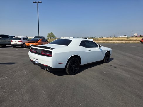 Used 2023 Dodge Challenger SXT image 6