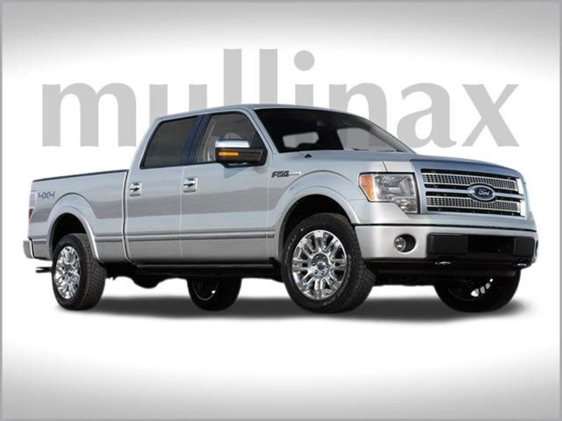 Used 2009 Ford F150 FX4 image 1