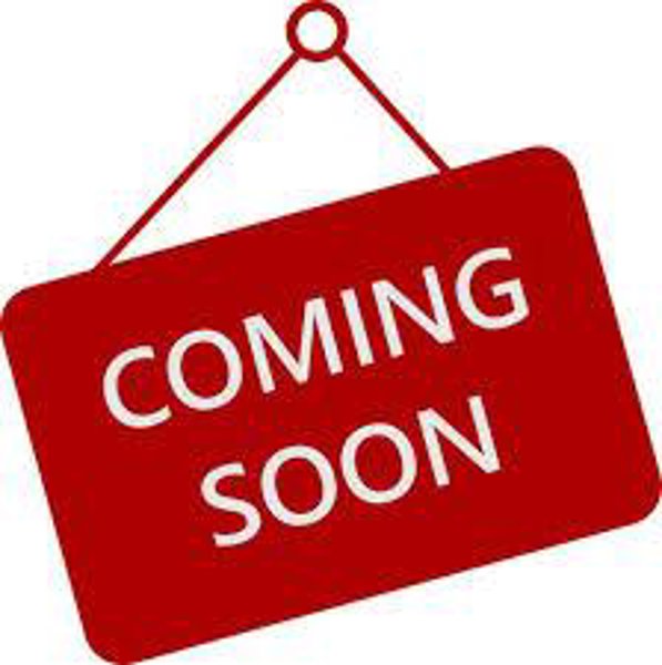 Used 2023 Toyota Corolla SE image 1
