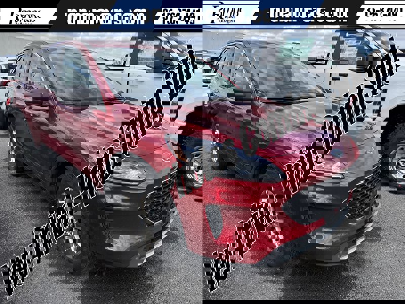Used 2022 Ford Escape SE w/ Convenience Package image 1
