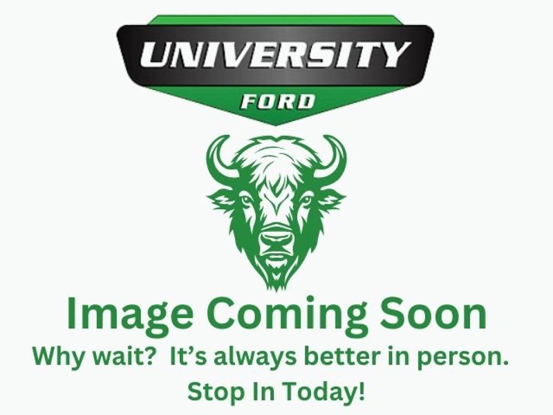 Used 2020 Ford Escape SE image 1