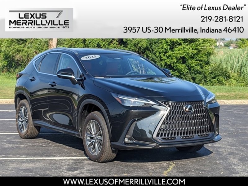 Certified 2025 Lexus NX 300h AWD w/ Luxury Package image 1