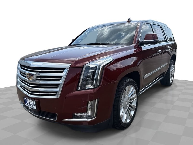 Certified 2016 Cadillac Escalade Platinum image 1