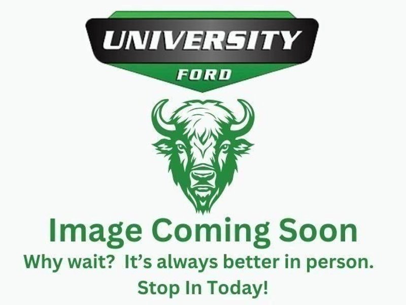 Used 2019 Ford Escape SE image 1